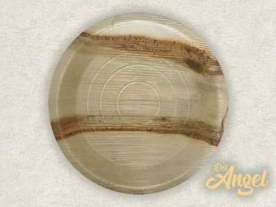 Fábrica de platos de cartón en Tlaquepaque