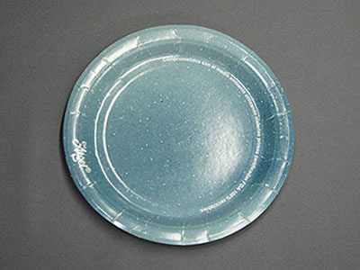 Platos desechables en Tonalá