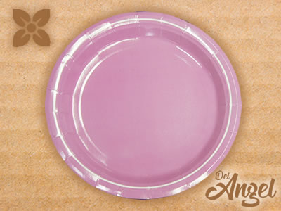 Plato de cartón talavera tlajomulco