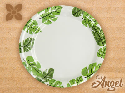 Plato de cartón barro Jalisco